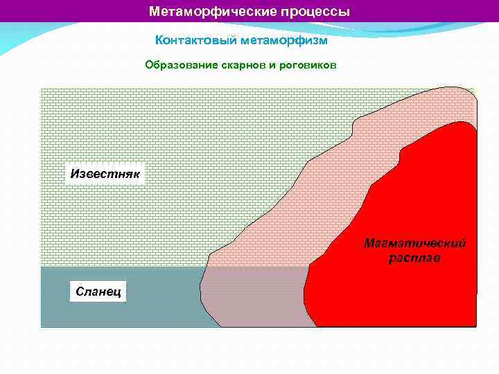 Метаморфические процессы Контактовый метаморфизм Образование скарнов и роговиков Известняк Магматический расплав Сланец 
