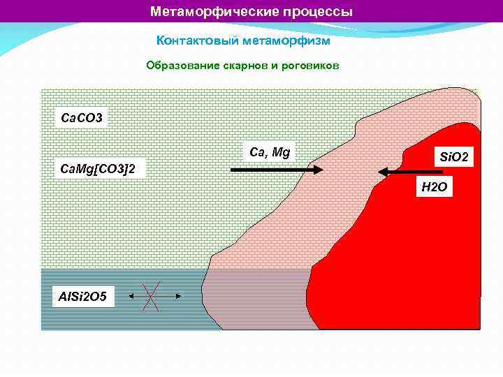 Метаморфические процессы Контактовый метаморфизм Образование скарнов и роговиков Ca. CO 3 Ca, Mg Ca.