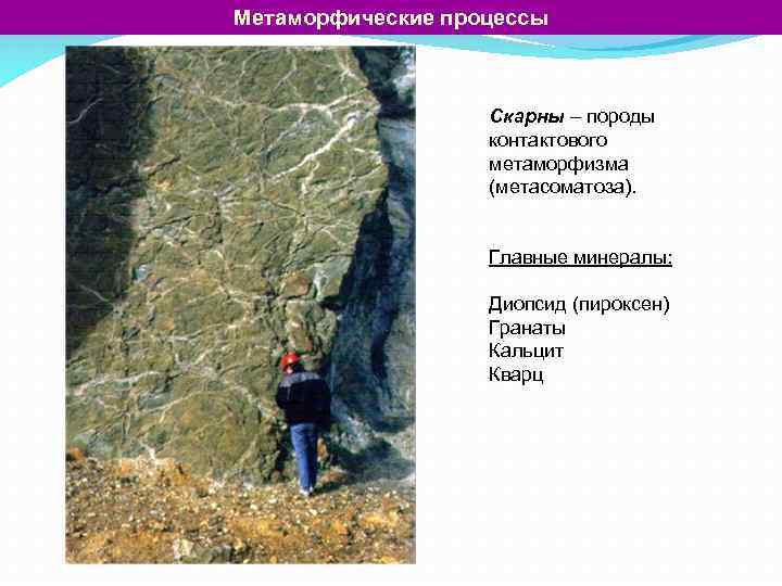 Метаморфические процессы Скарны – породы контактового метаморфизма (метасоматоза). Главные минералы: Диопсид (пироксен) Гранаты Кальцит