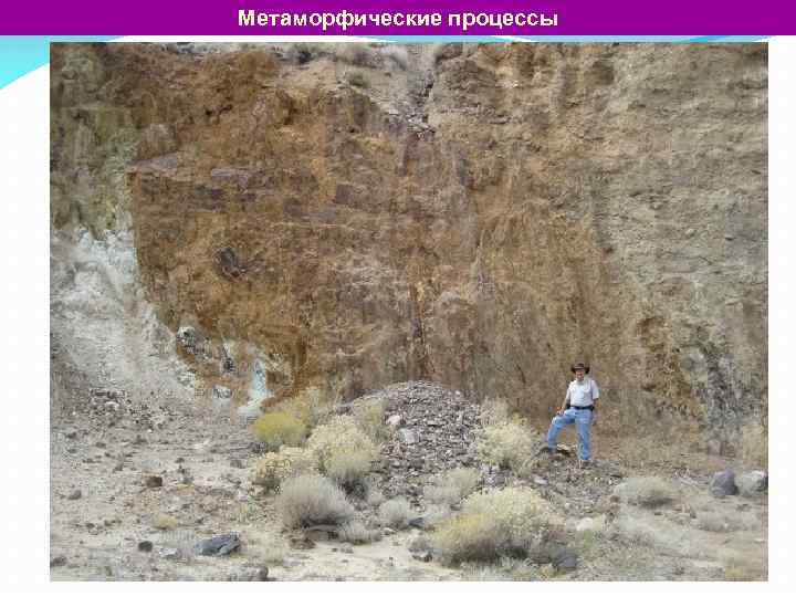 Метаморфические процессы 