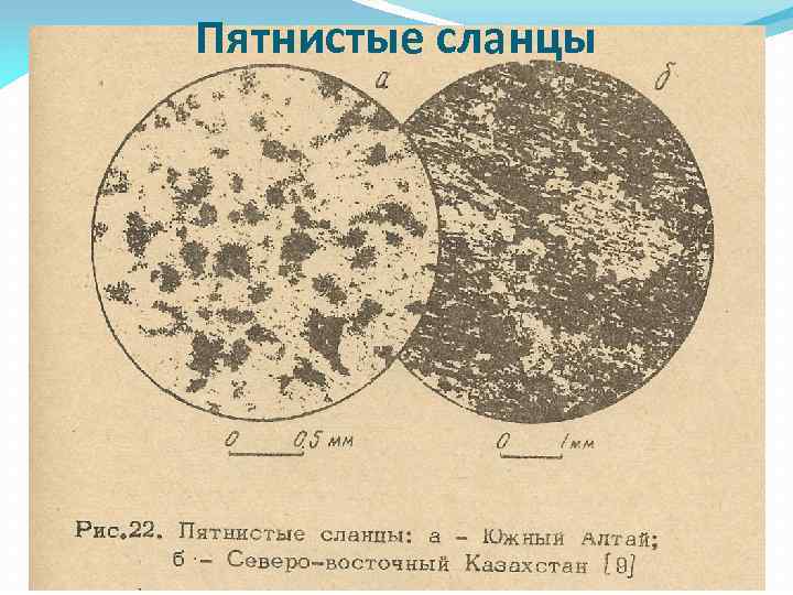 Пятнистые сланцы 