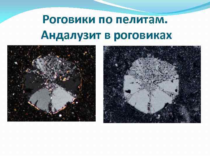 Роговики по пелитам. Андалузит в роговиках 