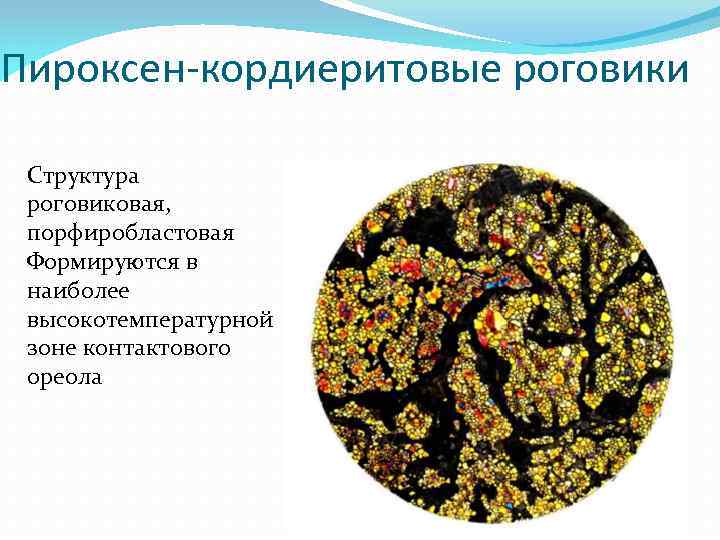 Пироксен-кордиеритовые роговики Структура роговиковая, порфиробластовая Формируются в наиболее высокотемпературной зоне контактового ореола 