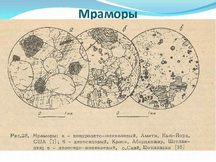 Схема абсорбции петрография