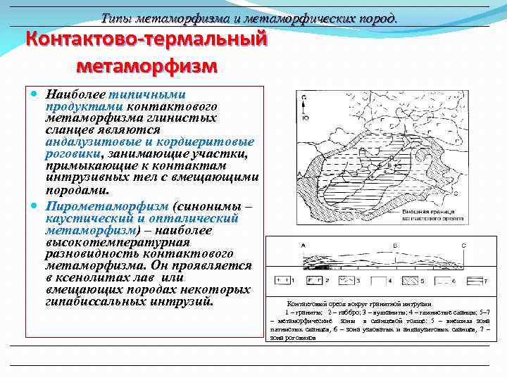 Типы метаморфизма и метаморфических пород. Контактово-термальный метаморфизм Наиболее типичными продуктами контактового метаморфизма глинистых сланцев