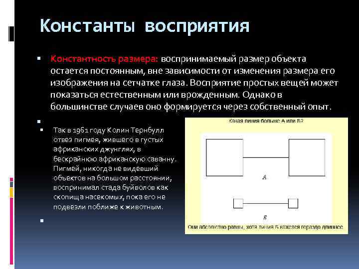 Константы восприятия Константность размера: воспринимаемый размер объекта остается постоянным, вне зависимости от изменения размера