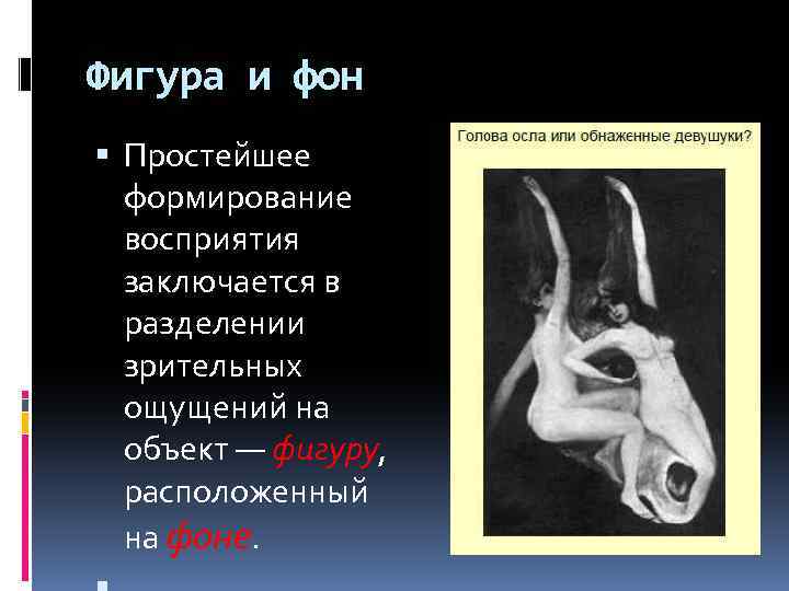 Фигура и фон Простейшее формирование восприятия заключается в разделении зрительных ощущений на объект —