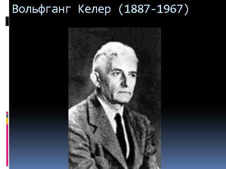 Вольфганг Келер (1887 -1967) 