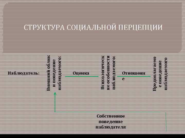 Понятие социальной перцепции схема перцептивного процесса