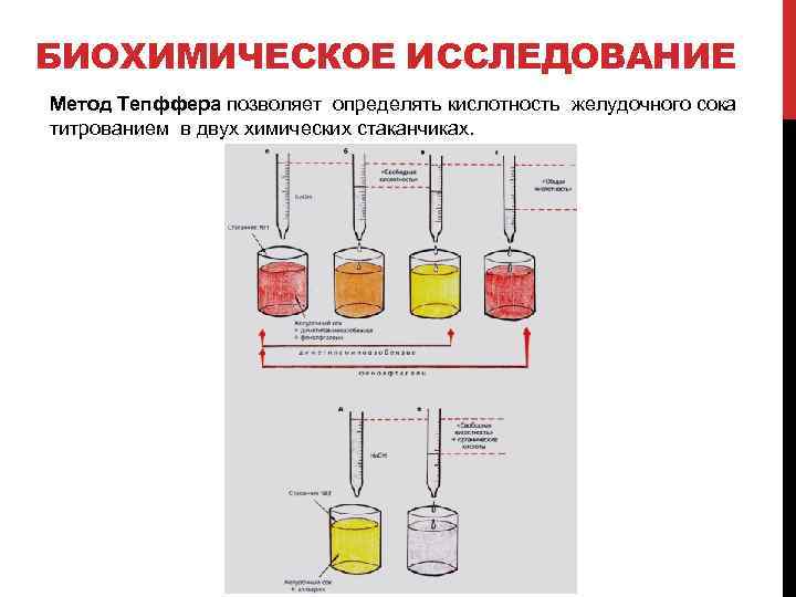 БИОХИМИЧЕСКОЕ ИССЛЕДОВАНИЕ Метод Тепффера позволяет определять кислотность желудочного сока титрованием в двух химических стаканчиках.