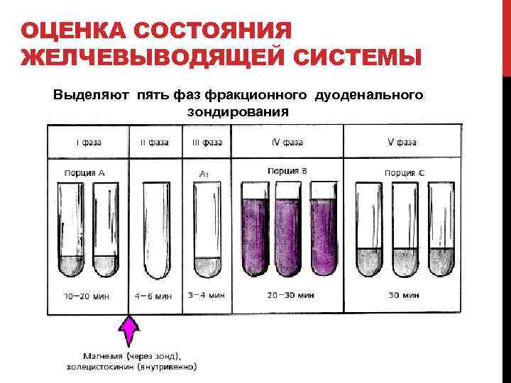 ОЦЕНКА СОСТОЯНИЯ ЖЕЛЧЕВЫВОДЯЩЕЙ СИСТЕМЫ Выделяют пять фаз фракционного дуоденального зондирования 