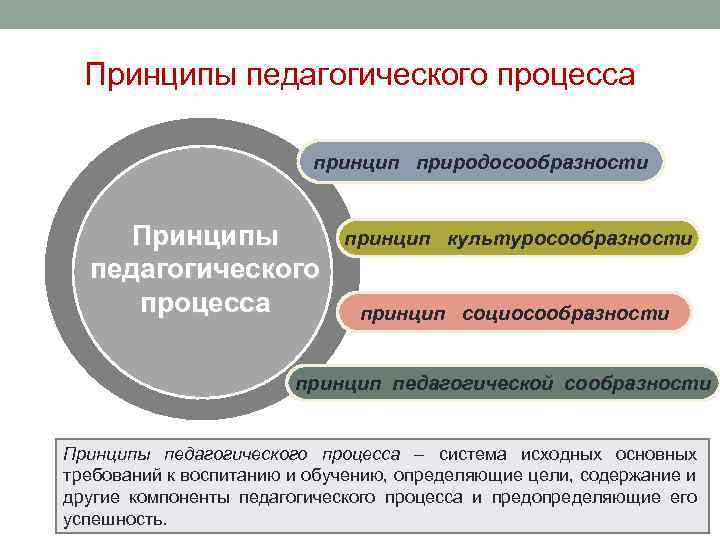 Принципы процесса