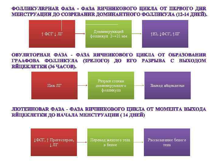 На какой день мц