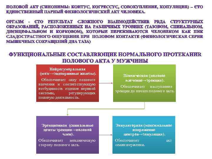 Половой Член Акт