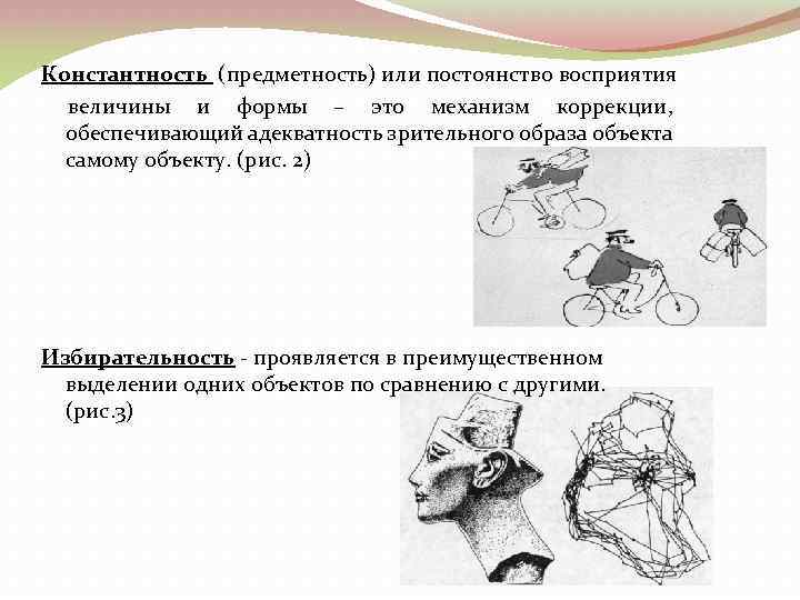 Константность. Константность зрительного восприятия. Константность образа восприятия. Константность и предметность восприятия. Константность восприятия величины.