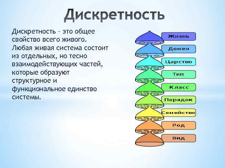 Дискретность – это общее свойство всего живого. Любая живая система состоит из отдельных, но