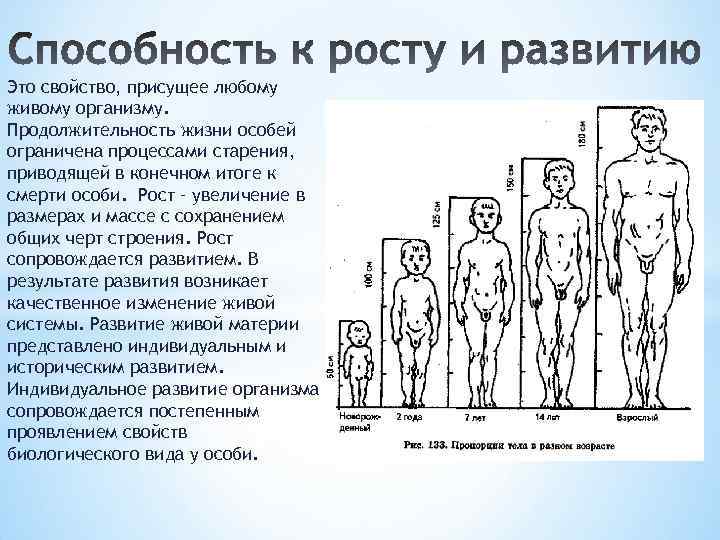 В результате чего меняется тело приведите примеры. Формирование и рост организма. Рост и развитие человека. Способность к росту и развитию. Особенности роста и развития человека.