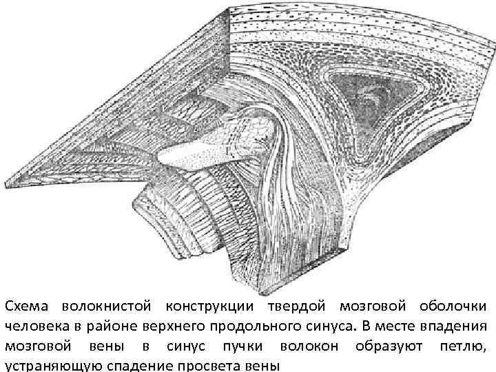 Явная центральная четырехточечная схема