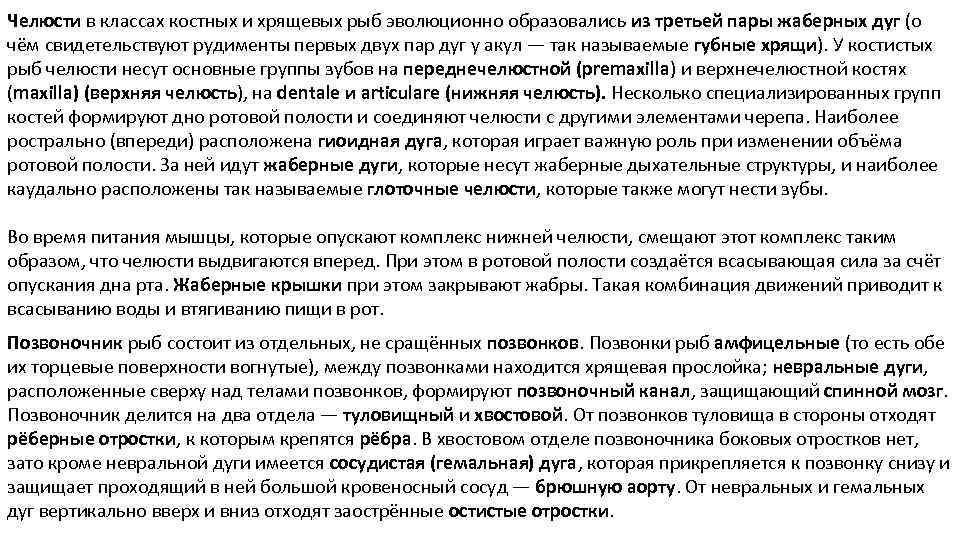 Челюсти в классах костных и хрящевых рыб эволюционно образовались из третьей пары жаберных дуг