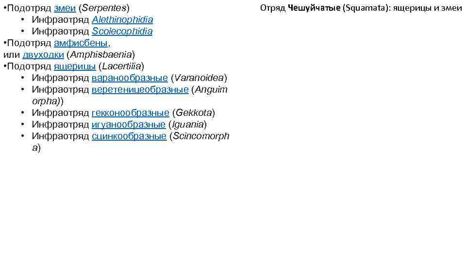  • Подотряд змеи (Serpentes) • Инфраотряд Alethinophidia • Инфраотряд Scolecophidia • Подотряд амфисбены,