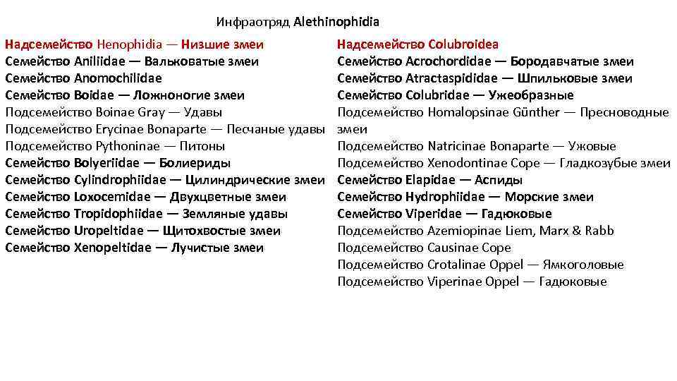 Инфраотряд Alethinophidia Надсемейство Henophidia — Низшие змеи Семейство Aniliidae — Вальковатые змеи Семейство Anomochilidae