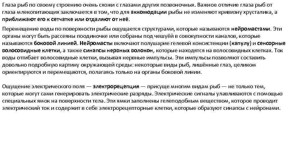 Глаза рыб по своему строению очень схожи с глазами других позвоночных. Важное отличие глаза