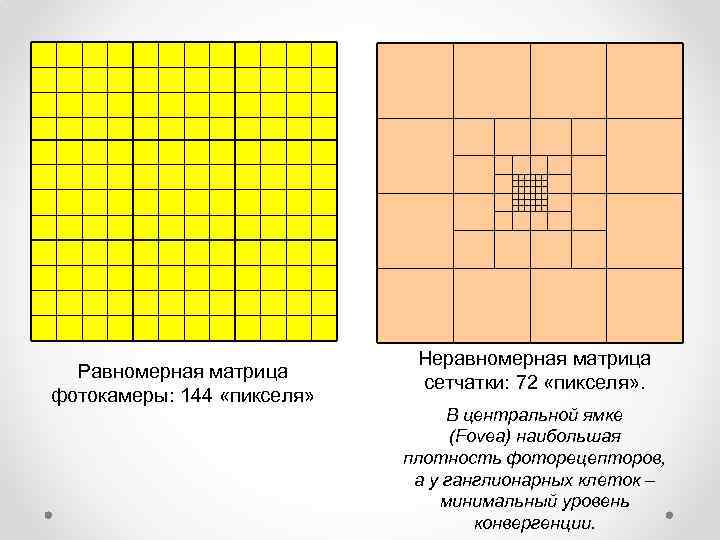 Минимальная клетка