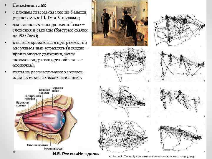 Движение зрение. Саккады физиология. Движение глаз. Саккадическое движение глаз. Плавные движения глаз.