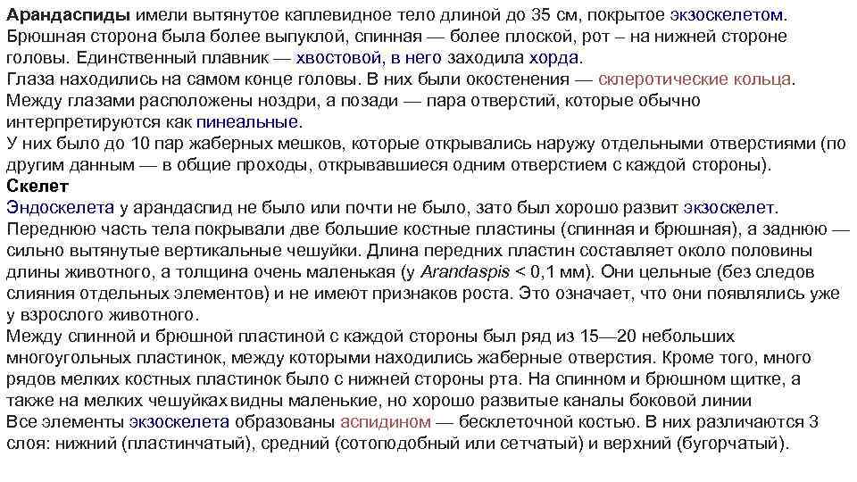 Арандаспиды имели вытянутое каплевидное тело длиной до 35 см, покрытое экзоскелетом. Брюшная сторона была