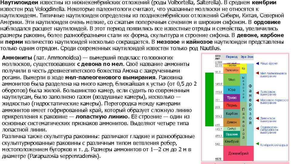 Наутилоидеи известны из нижнекембрийских отложений (роды Volbortella, Salterella). В среднем кембрии известен род Vologdinella.