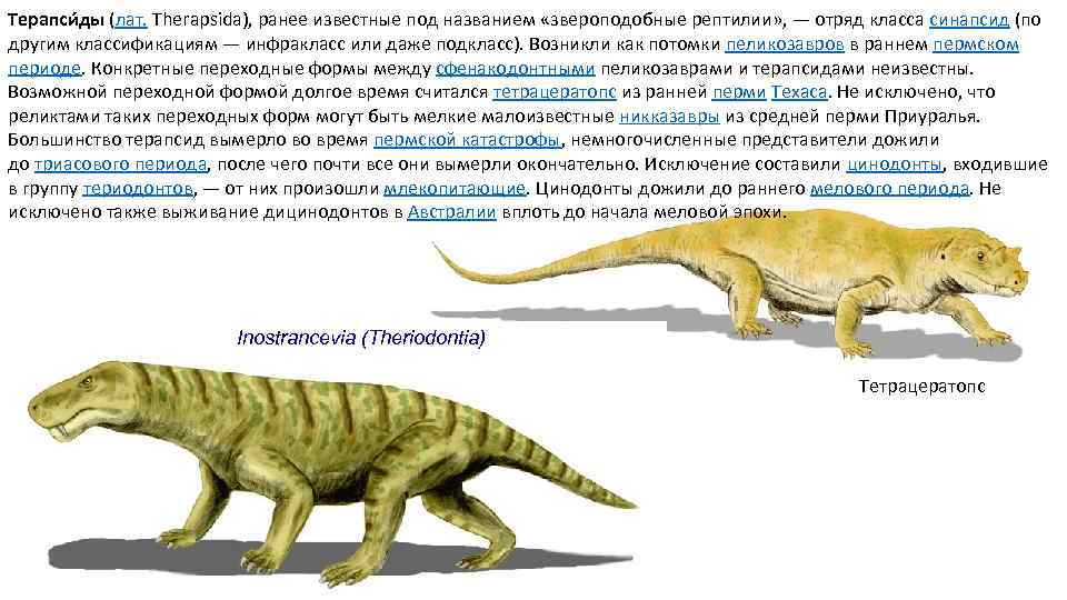 Новый период появился в периоде