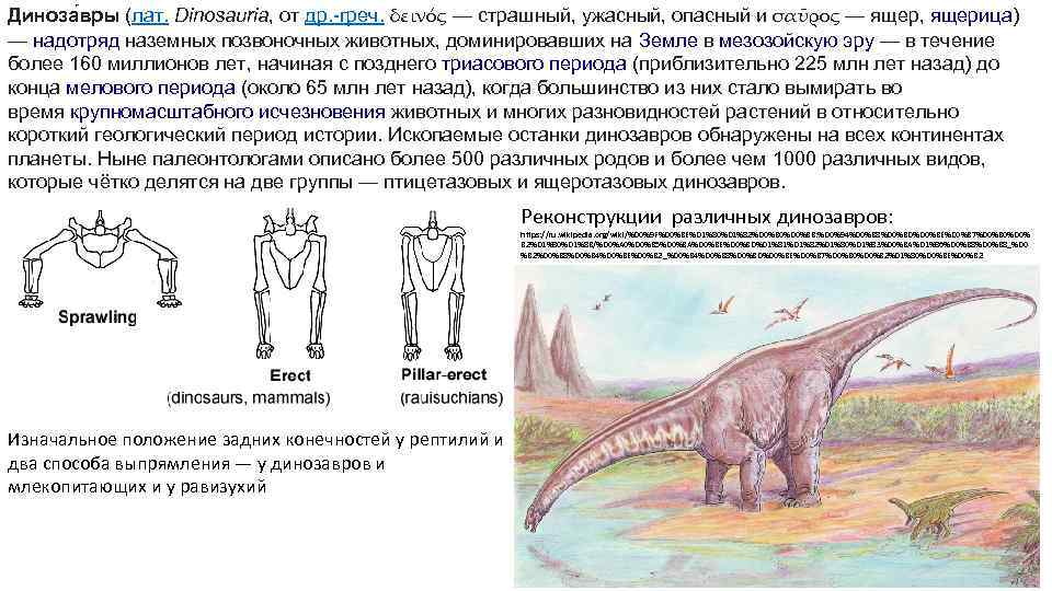 Диноза вры (лат. Dinosauria, от др. -греч. δεινός — страшный, ужасный, опасный и σαῦρος