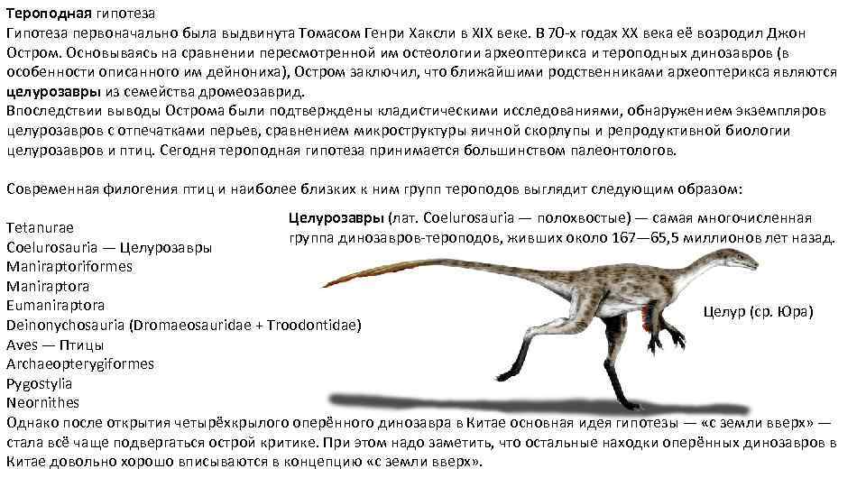 Тероподная гипотеза Гипотеза первоначально была выдвинута Томасом Генри Хаксли в XIX веке. В 70