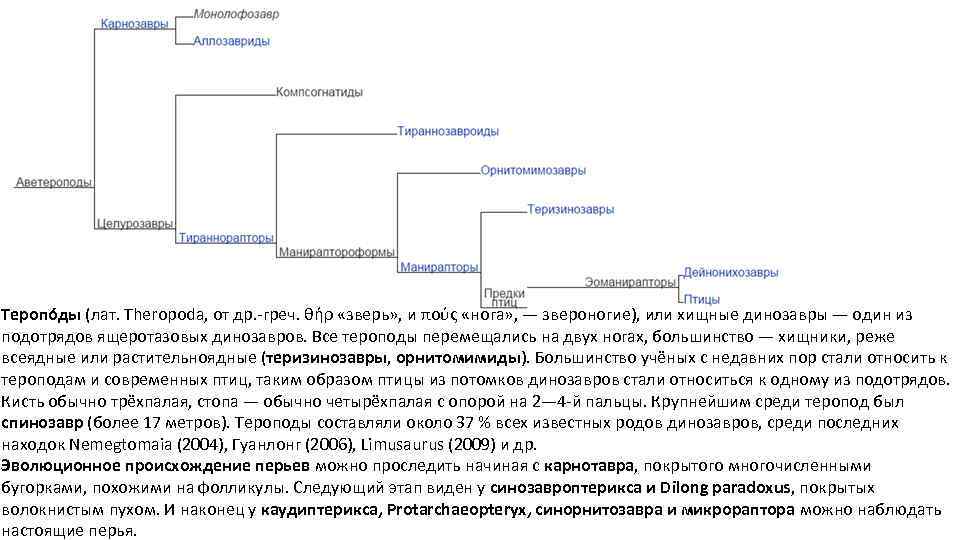 Теропо ды (лат. Theropoda, от др. -греч. θήρ «зверь» , и πούς «нога» ,