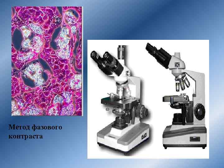 Фазово контрастная микроскопия. Метод фазового контраста в микроскопии микроскоп. Метод микроскопия (микроскопирование).
