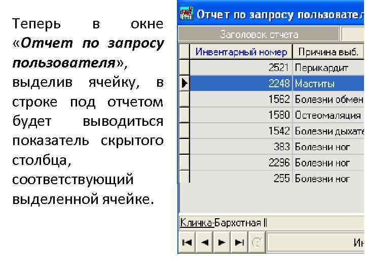 Теперь в окне «Отчет по запросу пользователя» , выделив ячейку, в строке под отчетом