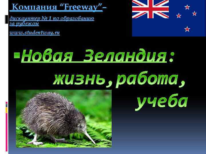 Компания “Freeway”– дискаунтер № 1 по образованию за рубежом www. studentway. ru 