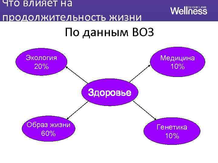 Что влияет на продолжительность жизни По данным ВОЗ Экология 20% Медицина 10% Здоровье Образ