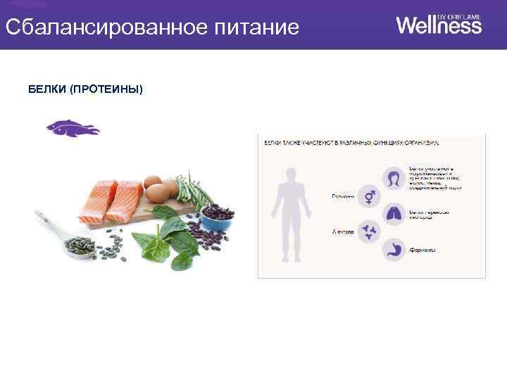 Сбалансированное питание БЕЛКИ (ПРОТЕИНЫ) 