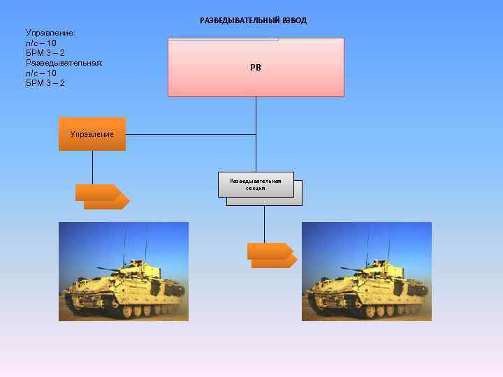 РАЗВЕДЫВАТЕЛЬНЫЙ ВЗВОД Управление: л/с – 10 БРМ 3 – 2 Разведывательная: л/с – 10