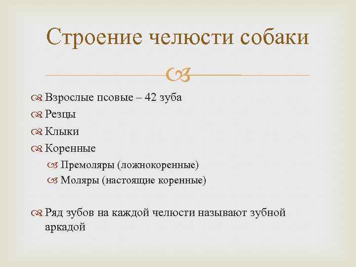 Строение челюсти собаки Взрослые псовые – 42 зуба Резцы Клыки Коренные Премоляры (ложнокоренные) Моляры