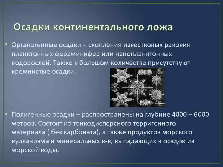 Континентальные осадки. Полигенные осадки. Генетические типы осадков. Генетические типы океанских осадков и их образование. Генетические формы осадков океанов.