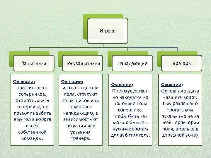Игроки Защитники Функции: прессинговать соперников, отбирать мяч у соперника, не позволив забить ему гол