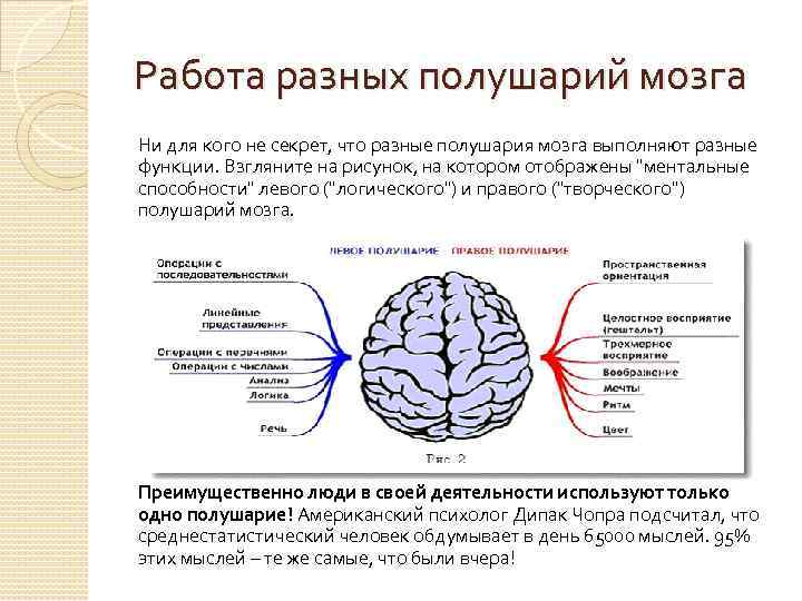 Поражение левого полушария мозга. Полушария мозга.