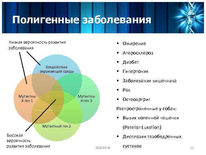 Полигенные заболевания Низкая вероятность развития заболевания § Ожирение § Атеросклероз § Диабет Воздействие окружающей