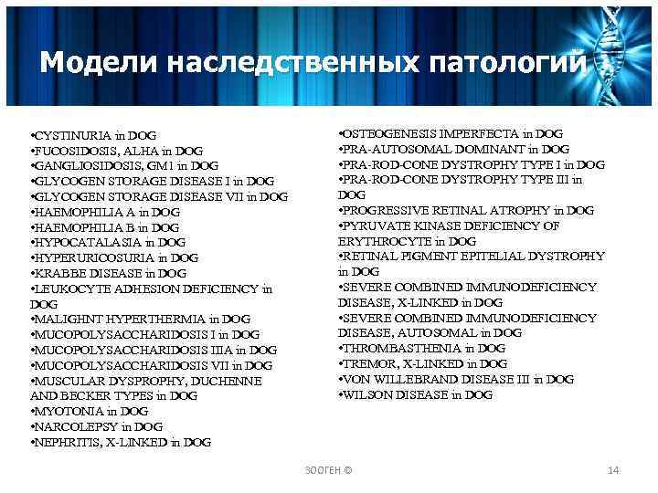 Модели наследственных патологий • CYSTINURIA in DOG • FUCOSIDOSIS, ALHA in DOG • GANGLIOSIDOSIS,