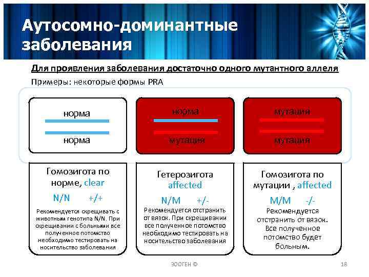 Аутосомно-доминантные заболевания Для проявления заболевания достаточно одного мутантного аллеля Примеры: некоторые формы PRA норма