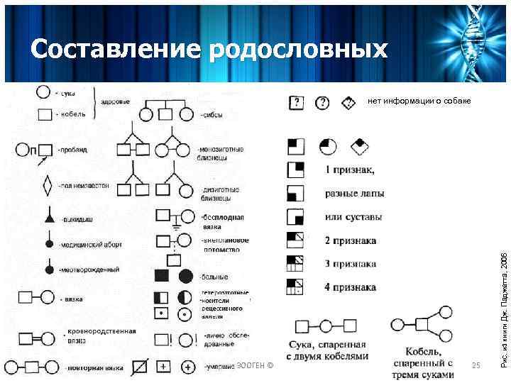 Составление родословных ЗООГЕН © 25 Рис. из книги Дж. Паджетта, 2006 нет информации о