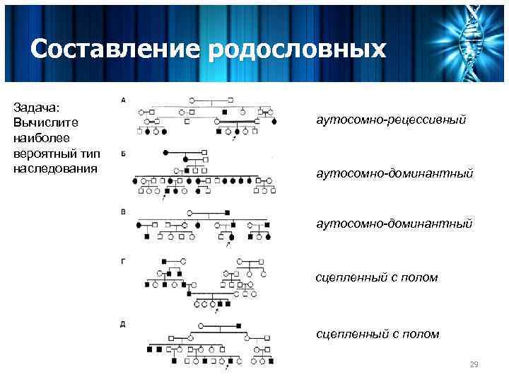 Составление родословных Задача: Вычислите наиболее вероятный тип наследования аутосомно-рецессивный аутосомно-доминантный сцепленный с полом ЗООГЕН