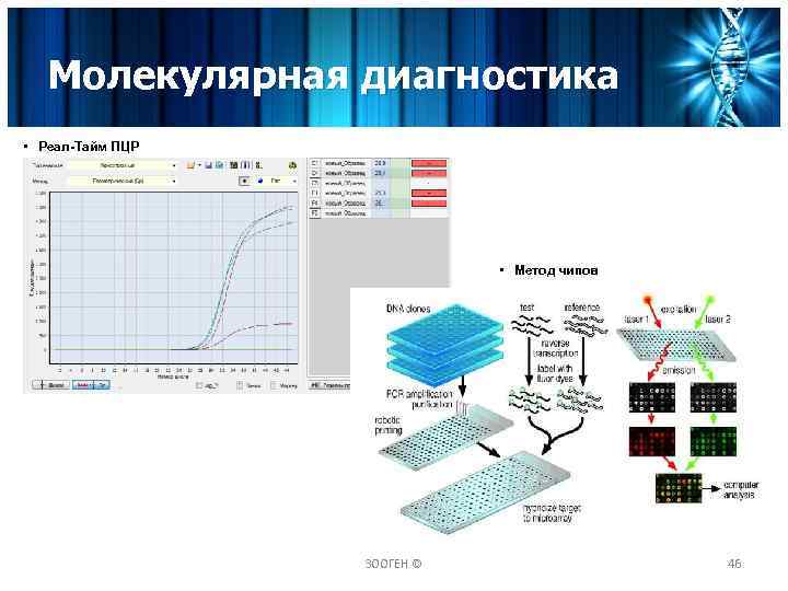 Молекулярная диагностика • Реал-Тайм ПЦР • Метод чипов ЗООГЕН © 46 